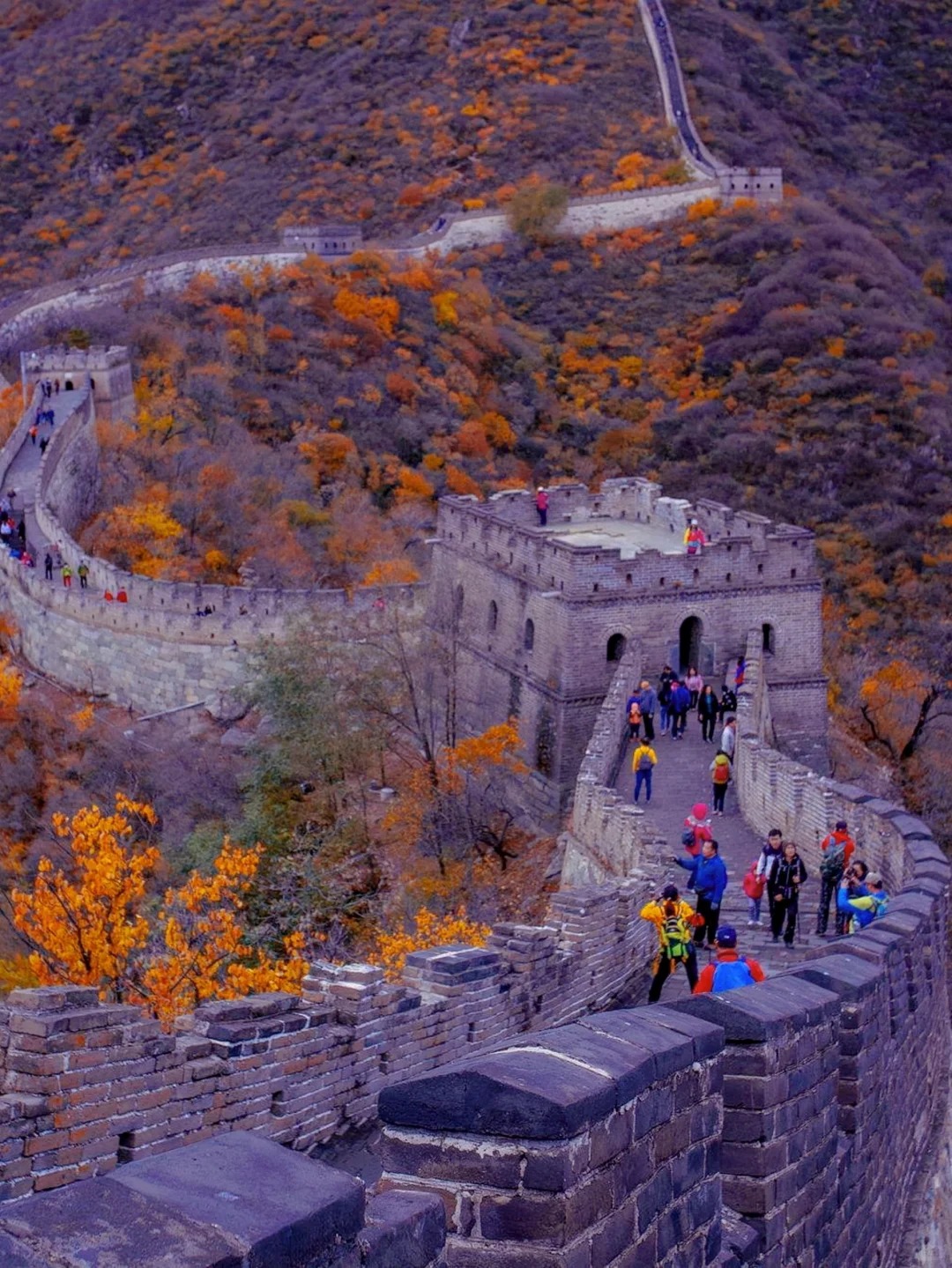 错过又要等一年｜慕田峪长城赏秋旅行攻略_3_笨笨带你去旅行_北京郊区-来自52tours 我爱旅游网